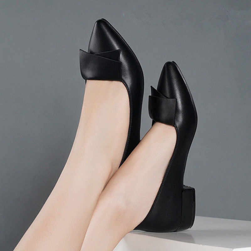 Pointed Toe Low Heel Elegant L - Women Shoes Quick Delivery recension och pris
